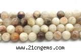 CSS853 15.5 inches 12mm round sunstone beads wholesale