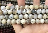 CAA3584 15.5 inches 10mm round ocean fossil agate beads wholesale