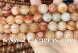 CAA4954 15.5 inches 14mm round Madagascar agate beads wholesale