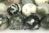 CAA5801 15 inches 8mm faceted round tree agate beads