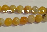 CAA89 15.5 inches 10mm round botswana agate gemstone beads
