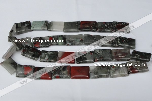 CAF02 15.5 inches 18*25mm rectangle African bloodstone beads