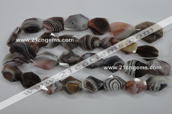 CAG3734 15.5 inches 18*22mm – 22*26mm faceted freeform botswana agate beads