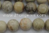 CAG3885 15.5 inches 14mm round chrysanthemum agate beads