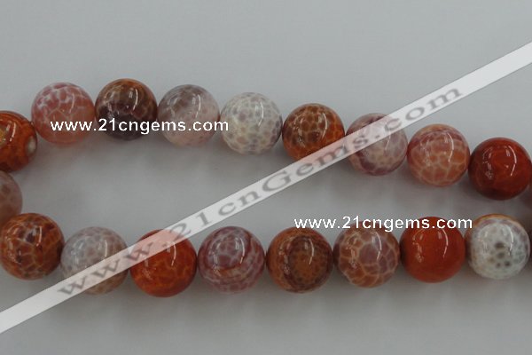 CAG5568 15.5 inches 20mm round natural fire agate beads wholesale