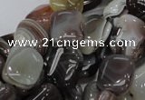 CAG737 15.5 inches 10*14mm rectangle botswana agate beads wholesale