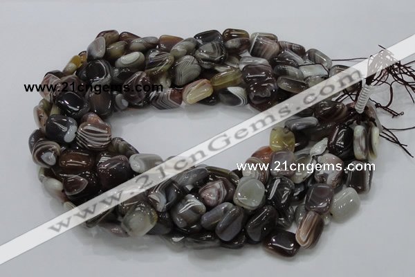 CAG737 15.5 inches 10*14mm rectangle botswana agate beads wholesale