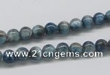 CAP05 15.5 inches 6mm round apatite gemstone beads wholesale