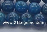 CAP363 15.5 inches 10mm round apatite gemstone beads wholesale