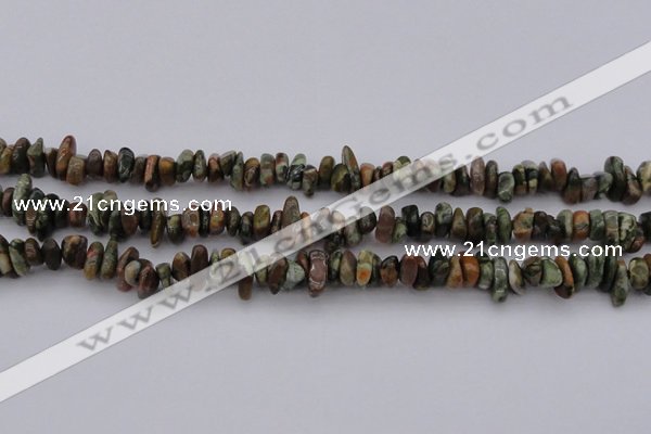CCH662 15.5 inches 5*8mm - 6*10mm rhyolite gemstone chips beads