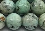 CCS942 15 inches 10mm round chrysocolla beads