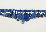 CDE1455 Top drilled 8*15mm - 10*60mm sticks sea sediment jasper beads