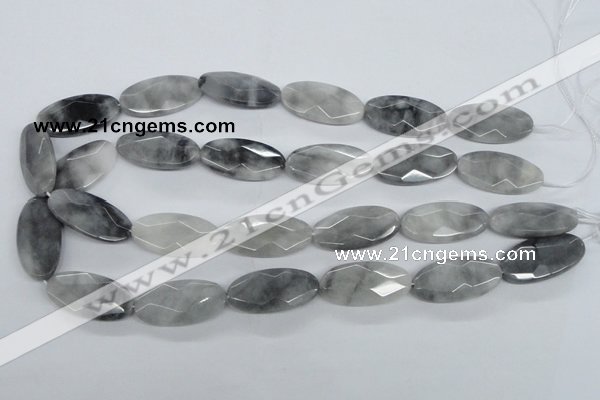 CEE214 15.5 inches 15*30mm faceted oval eagle eye jasper beads