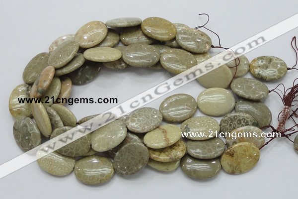 CFA12 15.5 inches 22*30mm oval chrysanthemum agate gemstone beads
