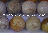 CFC205 15.5 inches 14mm round fossil coral beads wholesale