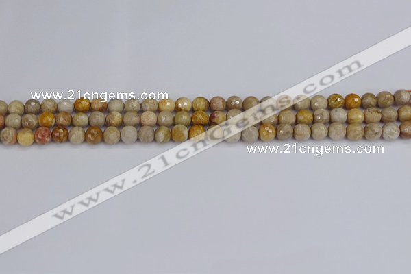 CFC228 15.5 inches 4mm faceted round fossil coral beads