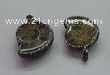 CGP1559 25*30mm - 28*35mm ammonite pendants wholesale