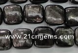 CHS82 15.5 inches 14*14mm square natural hypersthene beads