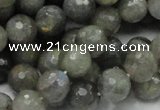 CLB23 15.5 inches 10mm faceted round labradorite gemstone beads