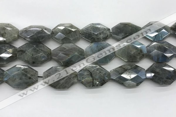 CLB798 20*28mm - 22*32mm faceted octagonal labradorite beads
