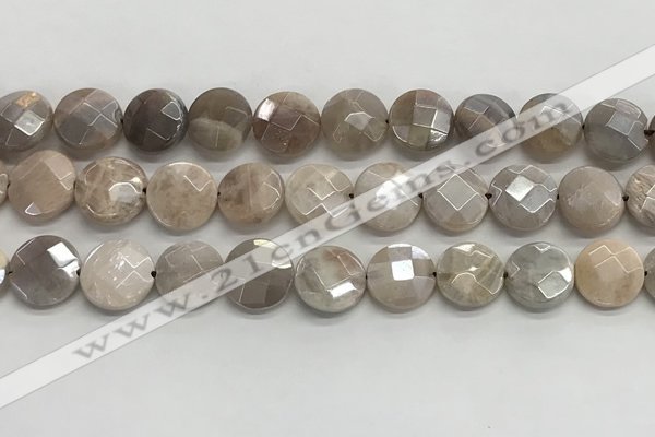 CMS1790 15.5 inches 12mm faceted coin AB-color moonstone beads