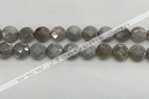 CMS1819 15.5 inches 14mm faceted coin AB-color moonstone beads