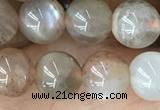 CMS2060 15.5 inches 8mm round moonstone gemstone beads