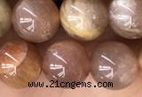 CMS2063 15.5 inches 8mm round moonstone gemstone beads