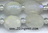 CMS2130 15 inches 8*10mm - 9*12mm faceted nuggets AB-color moonstone beads