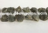 CNG3567 15.5 inches 18*20mm - 25*30mm nuggets rough labradorite beads