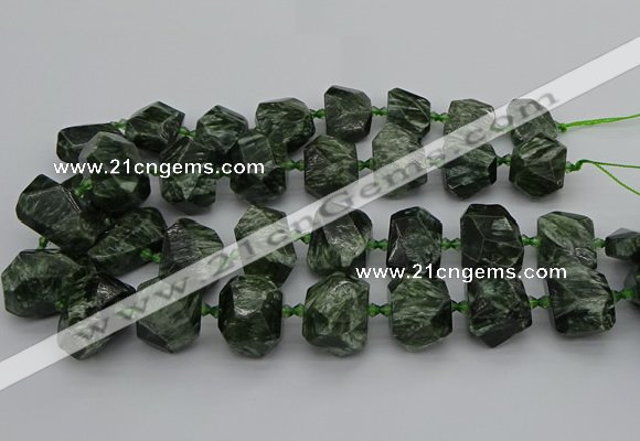 CNG5278 15.5 inches 13*18mm - 15*25mm faceted nuggets seraphinite beads