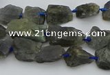 CNG5528 15.5 inches 10*14mm - 15*20mm nuggets labradorite beads