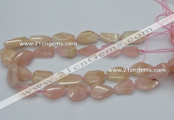 CNG5590 15.5 inches 15*20mm - 22*30mm faceted freeform morganite beads