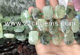 CNG7754 13*18mm - 15*25mm faceted freeform prehnite beads