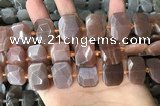 CNG7885 13*18mm - 15*25mm faceted freeform moonstone beads
