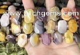 CNG7920 15.5 inches 13*18mm - 15*25mm faceted freeform mookaite beads
