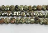 CNG8619 10*13mm - 12*16mm faceted freeform rhyolite beads