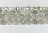 CNG8806 15.5 inches 16mm - 20mm faceted freeform moonstone beads