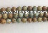 CNS704 15.5 inches 12mm round serpentine jasper beads wholesale