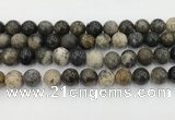 COP1604 15.5 inches 12mm round moss opal beads wholesale