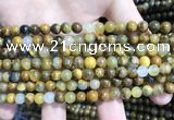 CPB1050 15.5 inches 4mm round golden pietersite beads wholesale