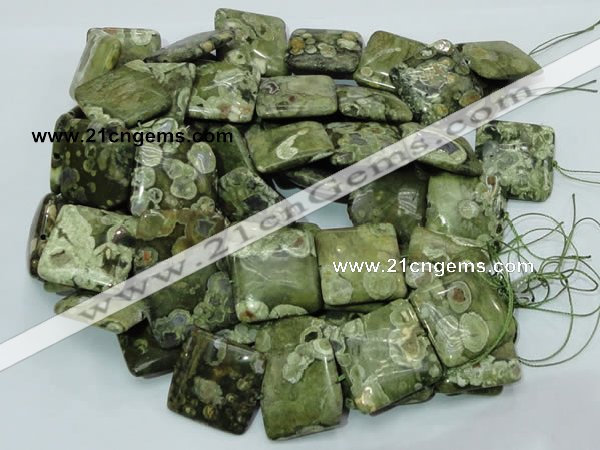 CRH20 15.5 inches 30*30mm square rhyolite beads wholesale
