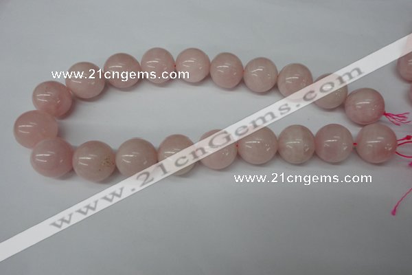 CRO545 15.5 inches 20mm round rose quartz beads wholesale