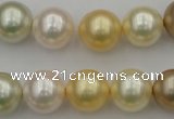 CSB372 15.5 inches 14mm round mixed color shell pearl beads