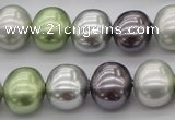CSB698 15.5 inches 13*15mm oval mixed color shell pearl beads