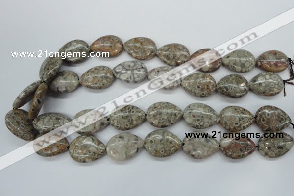 CSF03 15.5 inches 18*25mm flat teardrop shell fossil jasper beads