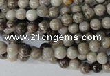 CSL10 15.5 inches 4mm round silver leaf jasper beads wholesale