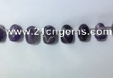 CTD2144 Top drilled 15*25mm - 18*25mm freeform dogtooth amethyst beads