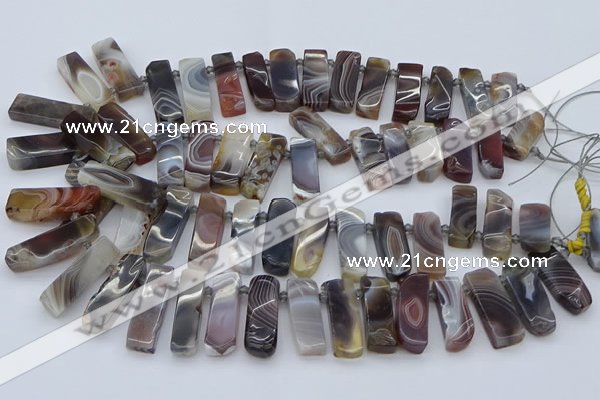 CTD3641 Top drilled 8*20mm - 10*35mm sticks botswana agate beads
