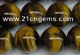 CTE1222 15.5 inches 14mm round AB+ grade yellow tiger eye beads